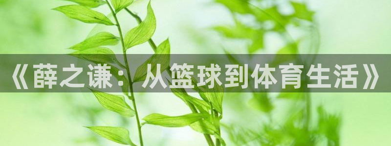 球王会体育：《薛之谦：从篮球到体育生活》