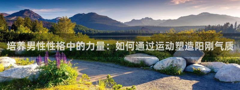 球王会体育：培养男性性格中的力量：如何通过运动塑造阳刚气质