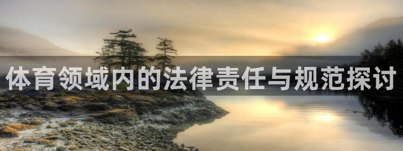 球王会体育：体育领域内的法律责任与规范探讨