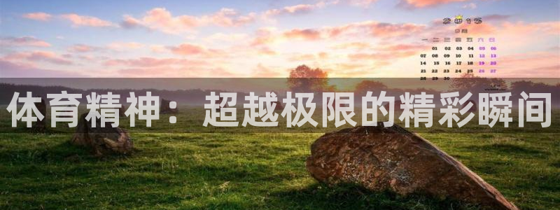 球王会体育：体育精神：超越极限的精彩瞬间