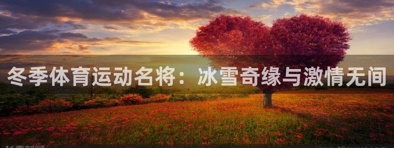球王会体育：冬季体育运动名将：冰雪奇缘与激情无间